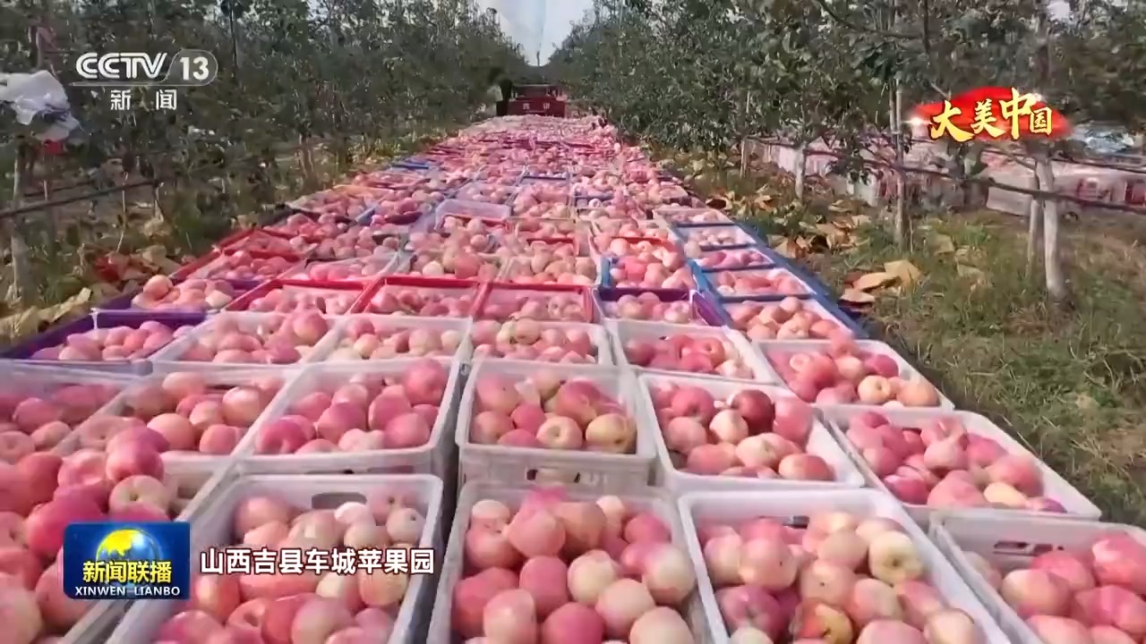 
北京肿瘤医院黄牛代挂号电话票贩子号贩子网上预约挂号,住院检查加快,文化中国行丨岁物丰成 一览神州大地的丰收好图景