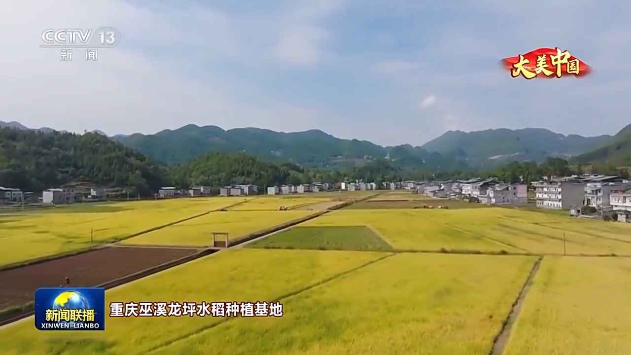 
北京肿瘤医院黄牛代挂号电话票贩子号贩子网上预约挂号,住院检查加快,文化中国行丨岁物丰成 一览神州大地的丰收好图景