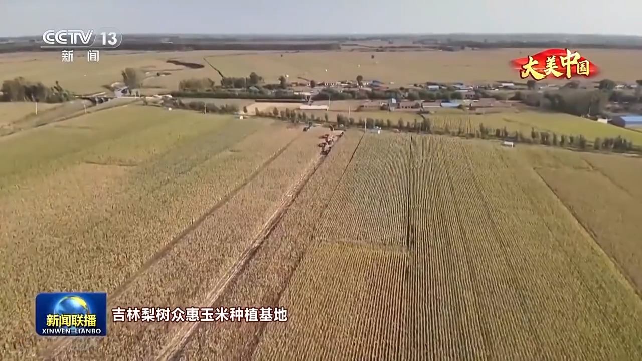 
北京肿瘤医院黄牛代挂号电话票贩子号贩子网上预约挂号,住院检查加快,文化中国行丨岁物丰成 一览神州大地的丰收好图景