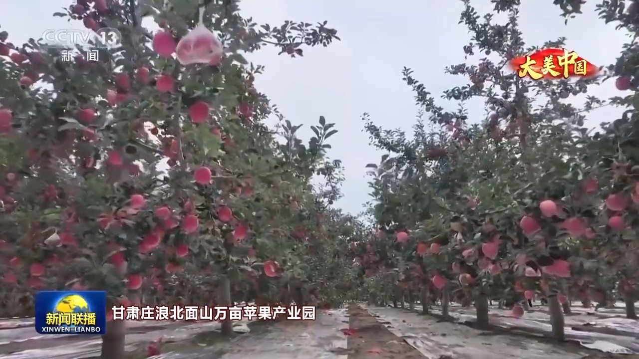 
北京肿瘤医院黄牛代挂号电话票贩子号贩子网上预约挂号,住院检查加快,文化中国行丨岁物丰成 一览神州大地的丰收好图景