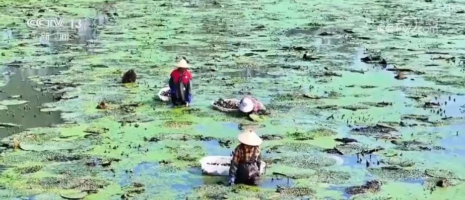 
上海肿瘤医院黄牛代挂号电话票贩子号贩子网上预约挂号,住院检查加快,金黄稻浪、瓜果飘香 广袤田野上绘就绚烂丰收画卷
