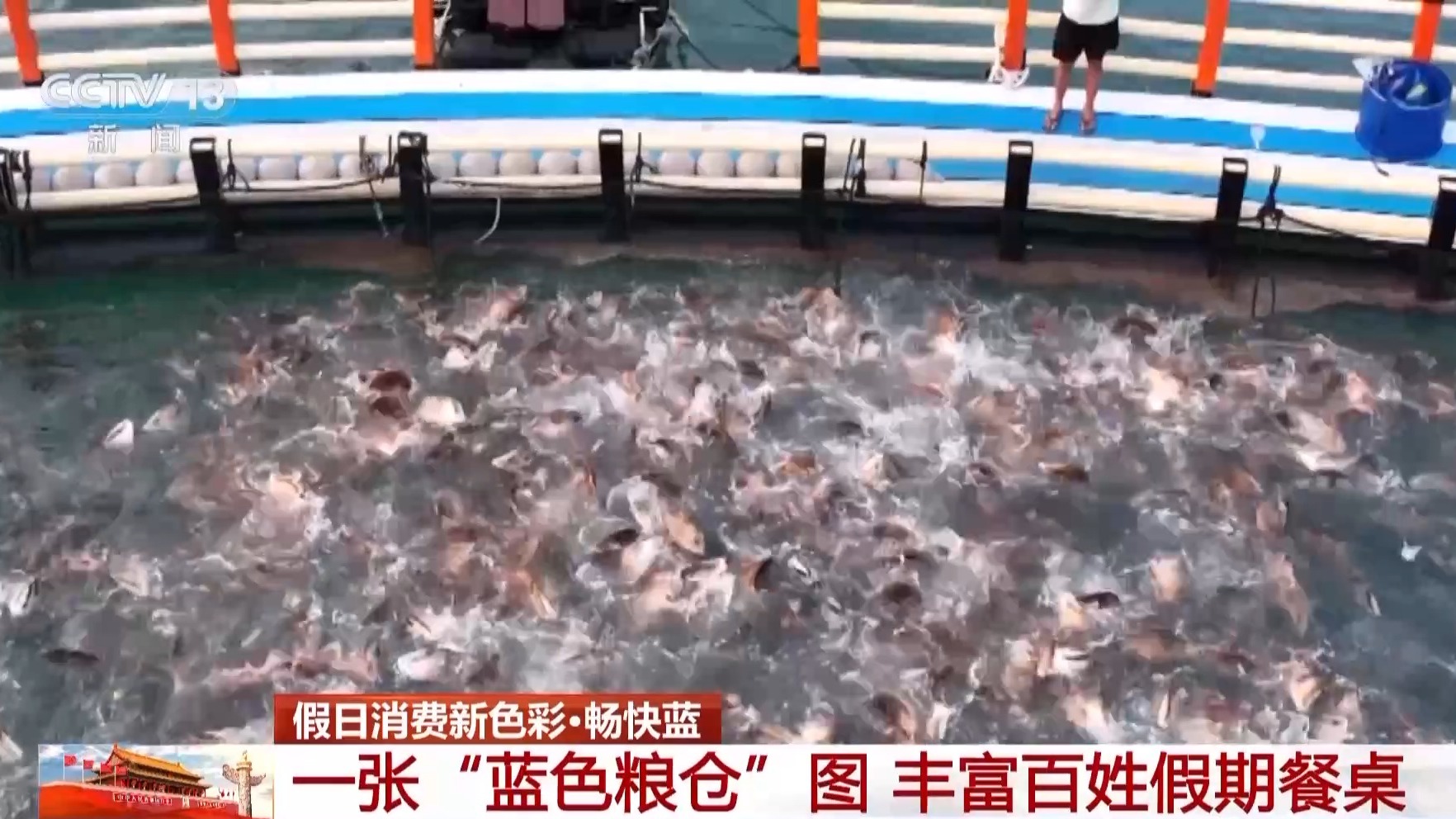 
北京佑安医院黄牛代挂号电话票贩子号贩子网上预约挂号,住院检查加快,海天一色，蓝色粮仓！假期去大海，体验“蓝”色消费新场景