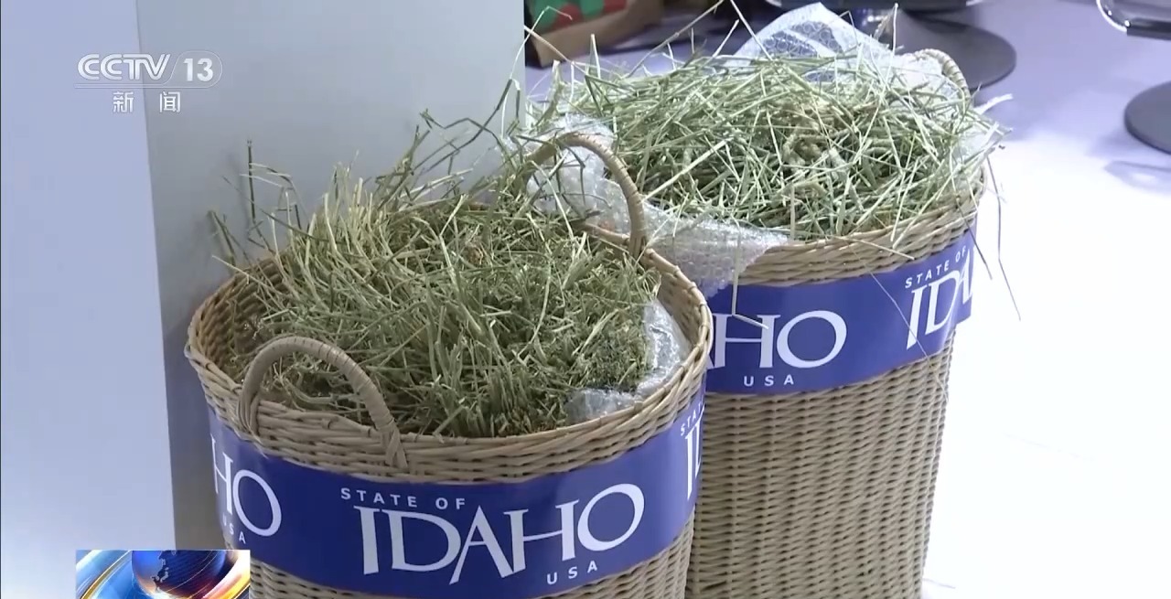 
北医六院黄牛代挂号电话票贩子号贩子网上预约挂号,住院检查加快,“没有市场比中国市场更大” 各国展商抢抓进博机遇 收获满满