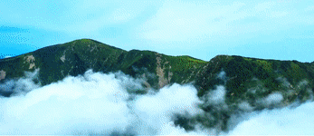 
中国人民解放军总医院黄牛代挂号电话票贩子号贩子网上预约挂号,住院检查加快,《解码西部大开发》第三集：一幅“绿富同兴”的美丽画卷