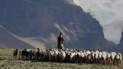 广州儿童医院黄牛代挂号电话票贩子号贩子网上预约挂号,住院检查加快,你看了吗?藏语版《日光之城》“含金量”还在上升!