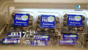 
南方医科大学南方医院黄牛代挂号电话票贩子号贩子网上预约挂号,住院检查加快,全球连线｜拉美生鲜：快船到中国