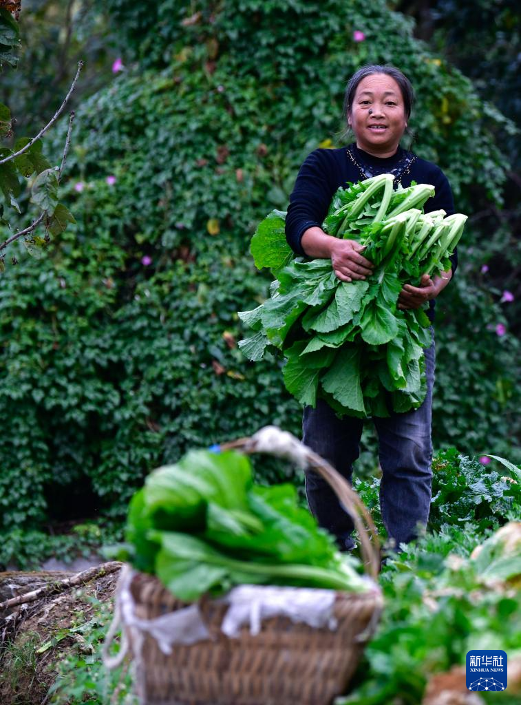 
广州各大医院黄牛代挂号电话票贩子号贩子网上预约挂号,住院检查加快,图片故事丨这趟城乡公交，载满人间烟火和城市温度