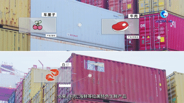 
南方医科大学南方医院黄牛代挂号电话票贩子号贩子网上预约挂号,住院检查加快,全球连线｜拉美生鲜：快船到中国