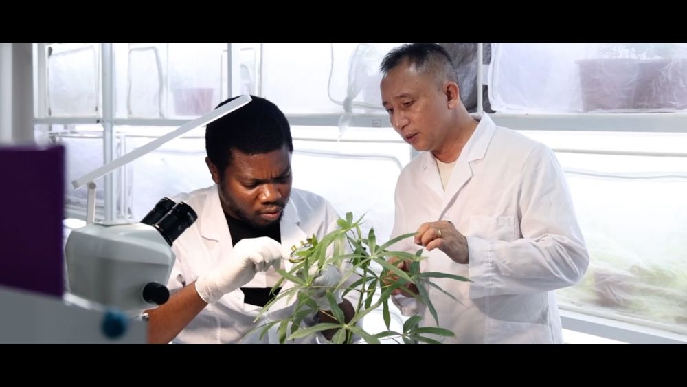 
首都医科大学附属阜外医院黄牛代挂号电话票贩子号贩子网上预约挂号,住院检查加快,大道同行——谱写“全球南方”合作共赢新篇章