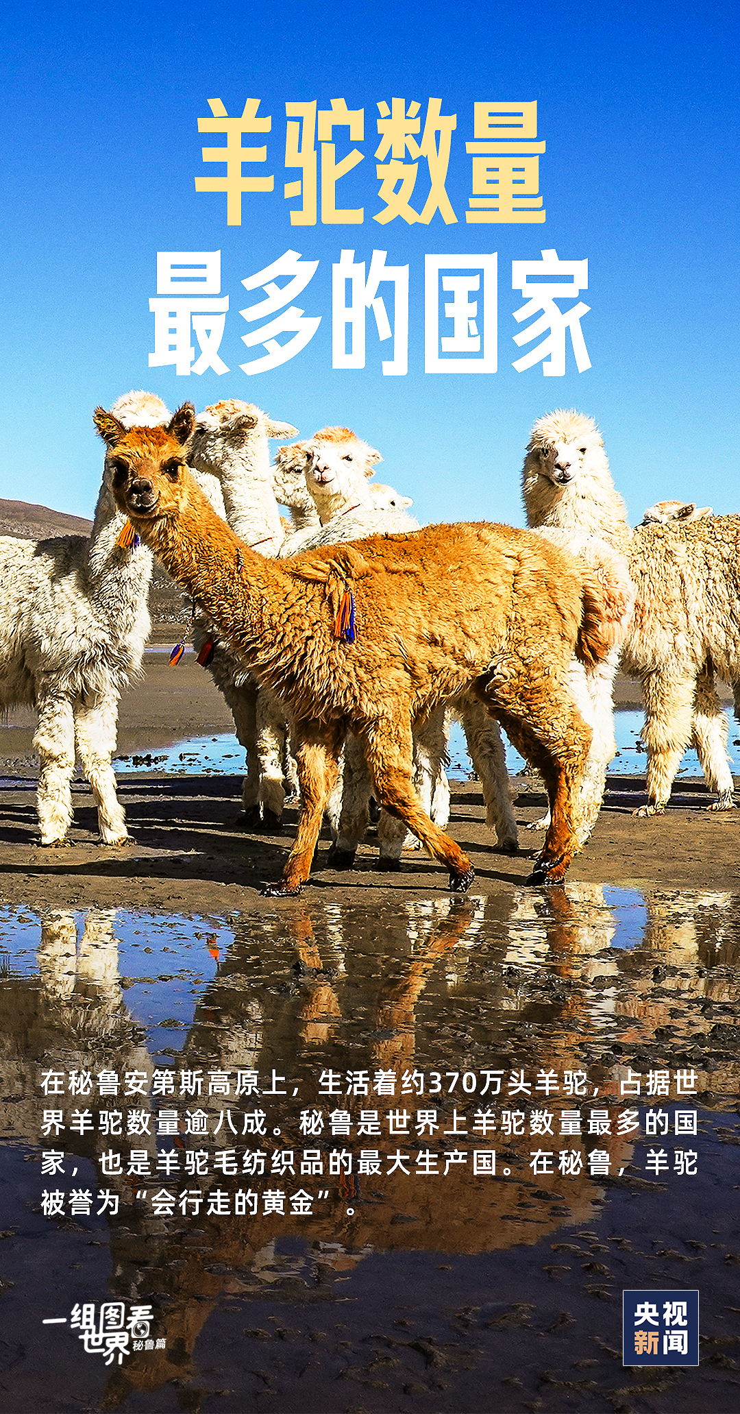 
广州中山三医院黄牛代挂号电话票贩子号贩子网上预约挂号,住院检查加快,跟着习主席看世界丨这里是秘鲁