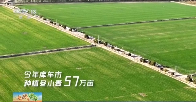
杭州市妇幼保健院黄牛代挂号电话票贩子号贩子网上预约挂号,住院检查加快,鱼肥虾美蟹满黄 新疆沙漠“海鲜”上新了