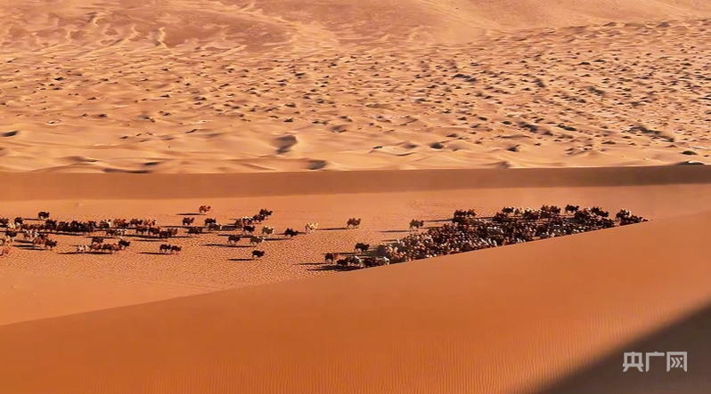 广州儿童医院黄牛代挂号电话票贩子号贩子网上预约挂号,住院检查加快,航瞰内蒙古 | 有一种搬家叫“转场”