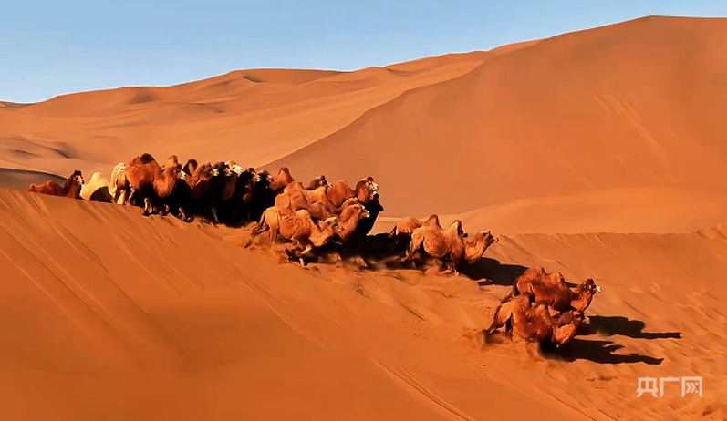 广州儿童医院黄牛代挂号电话票贩子号贩子网上预约挂号,住院检查加快,航瞰内蒙古 | 有一种搬家叫“转场”