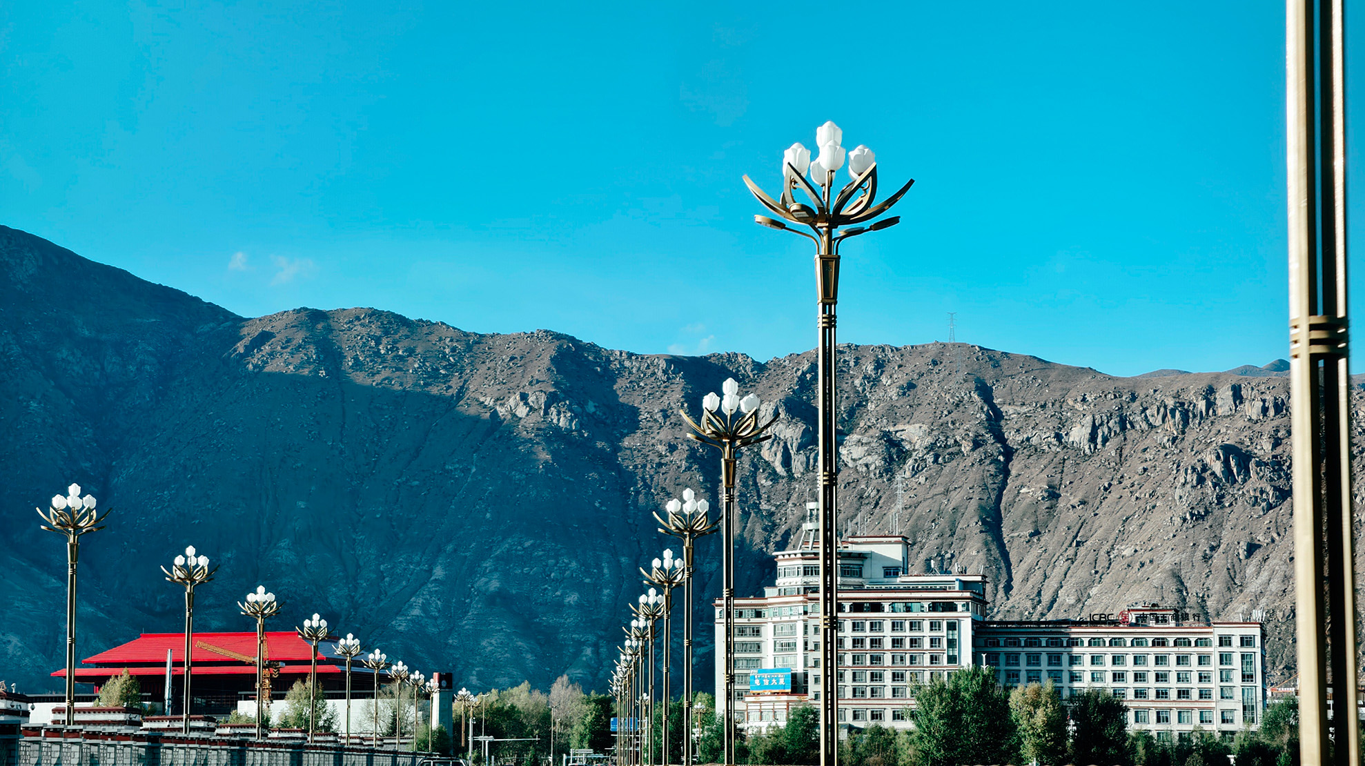 
北京北大口腔医院黄牛代挂号电话票贩子号贩子网上预约挂号,住院检查加快,“光影力量”第五届西藏网络影像节投稿作品——雪域高原·街头巷影