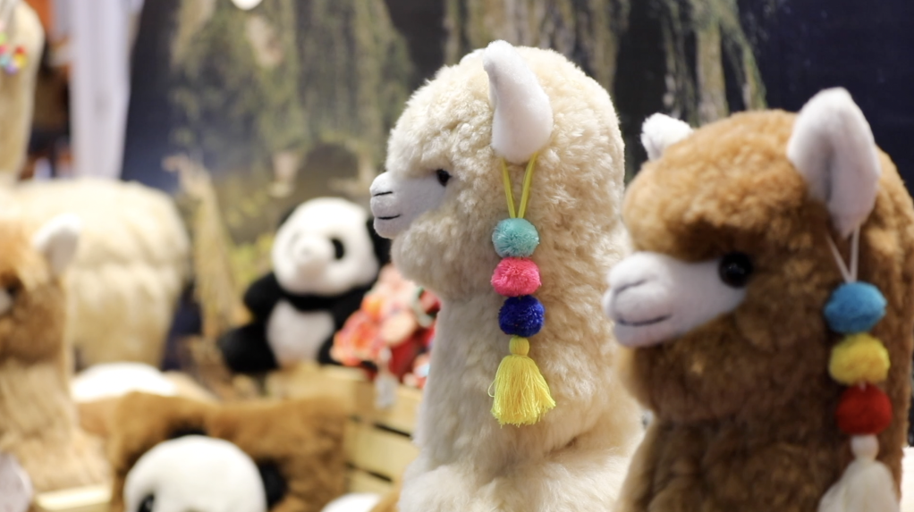 天津肿瘤医院黄牛代挂号电话票贩子号贩子网上预约挂号,住院检查加快,天涯若比邻:秘鲁“羊驼大叔”的进博情缘