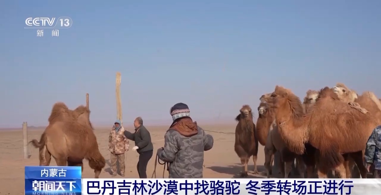 
首都医科大学附属北京口腔医院黄牛代挂号电话票贩子号贩子网上预约挂号,住院检查加快,在沙漠找骆驼是种怎样的体验？牧民：请看VCR