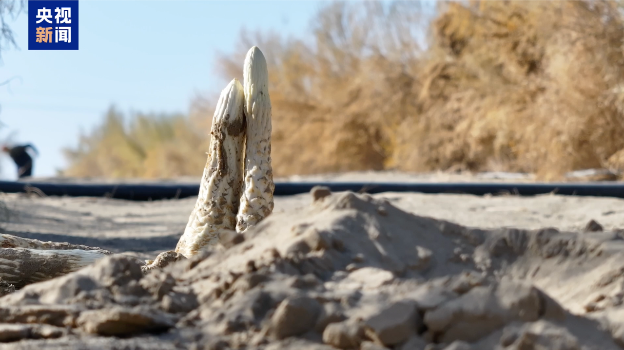 
南京脑科医院黄牛代挂号电话票贩子号贩子网上预约挂号,住院检查加快,万亩沙海变绿洲 退伍老兵组队挑战“沙漠之城”