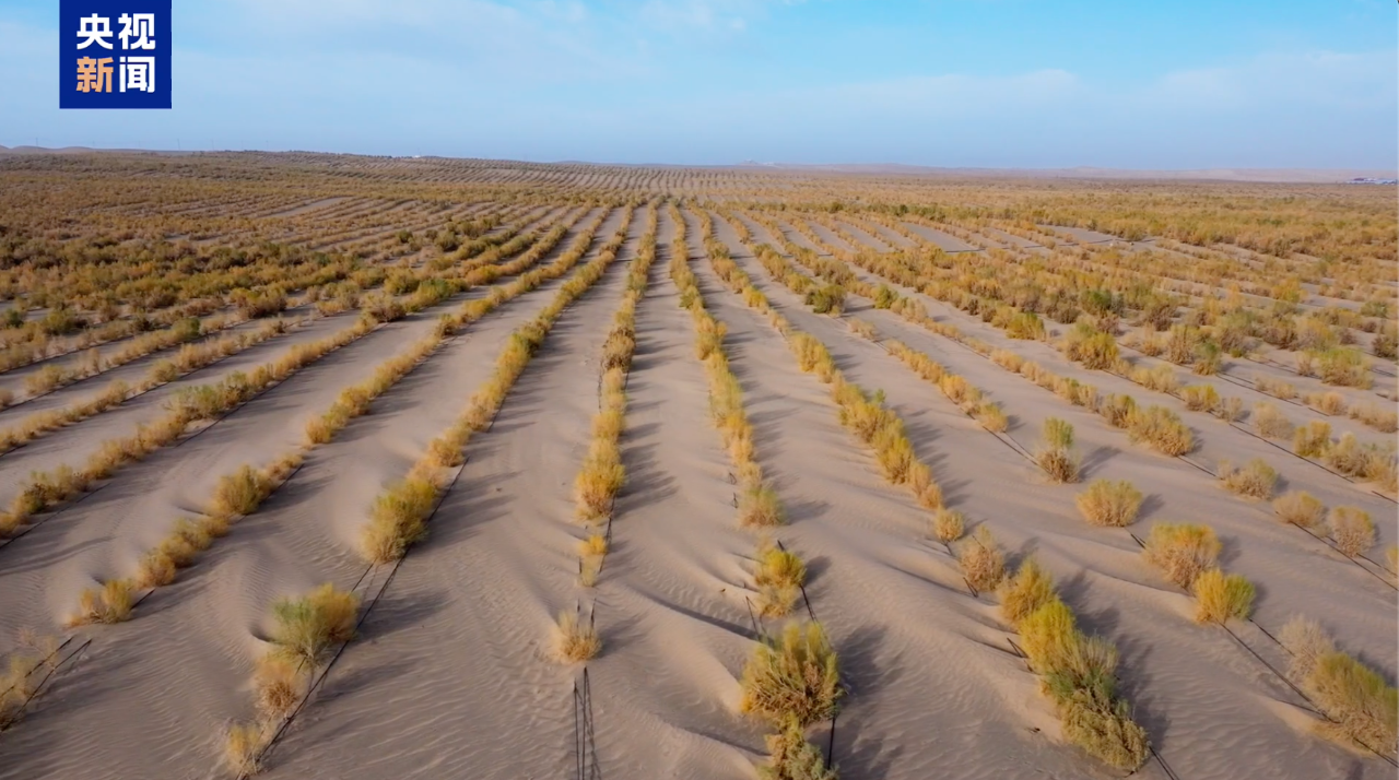 
南京脑科医院黄牛代挂号电话票贩子号贩子网上预约挂号,住院检查加快,万亩沙海变绿洲 退伍老兵组队挑战“沙漠之城”
