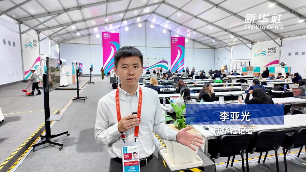 
广州各大医院黄牛代挂号电话票贩子号贩子网上预约挂号,住院检查加快,在APEC国际媒体中心感受秘鲁文化元素