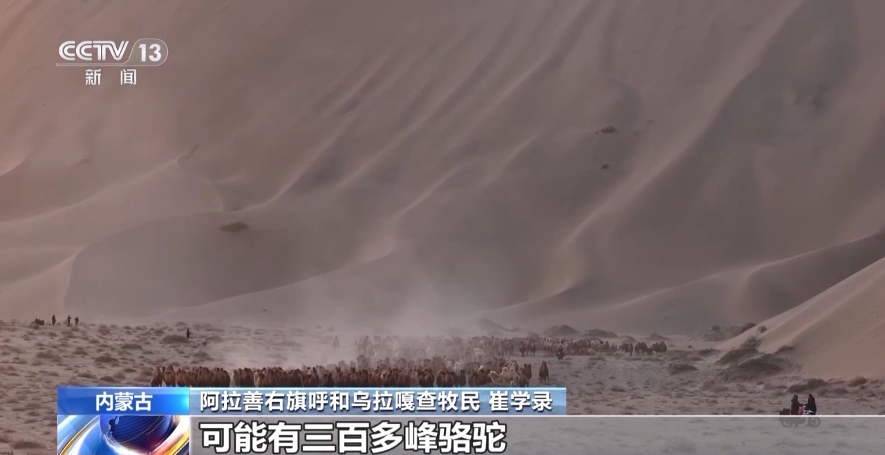 
首都医科大学附属北京口腔医院黄牛代挂号电话票贩子号贩子网上预约挂号,住院检查加快,在沙漠找骆驼是种怎样的体验？牧民：请看VCR