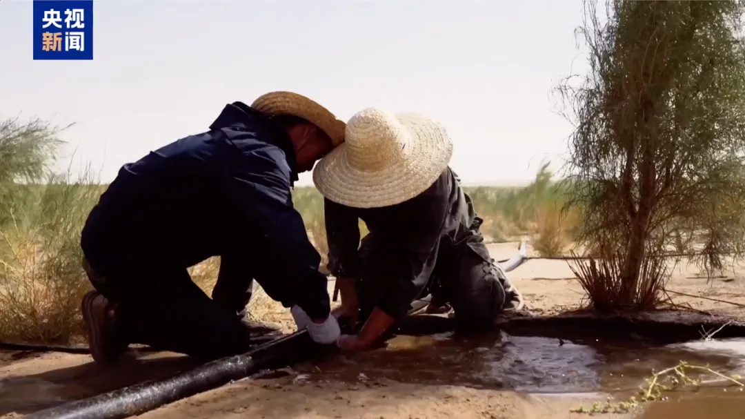 
南京脑科医院黄牛代挂号电话票贩子号贩子网上预约挂号,住院检查加快,万亩沙海变绿洲 退伍老兵组队挑战“沙漠之城”