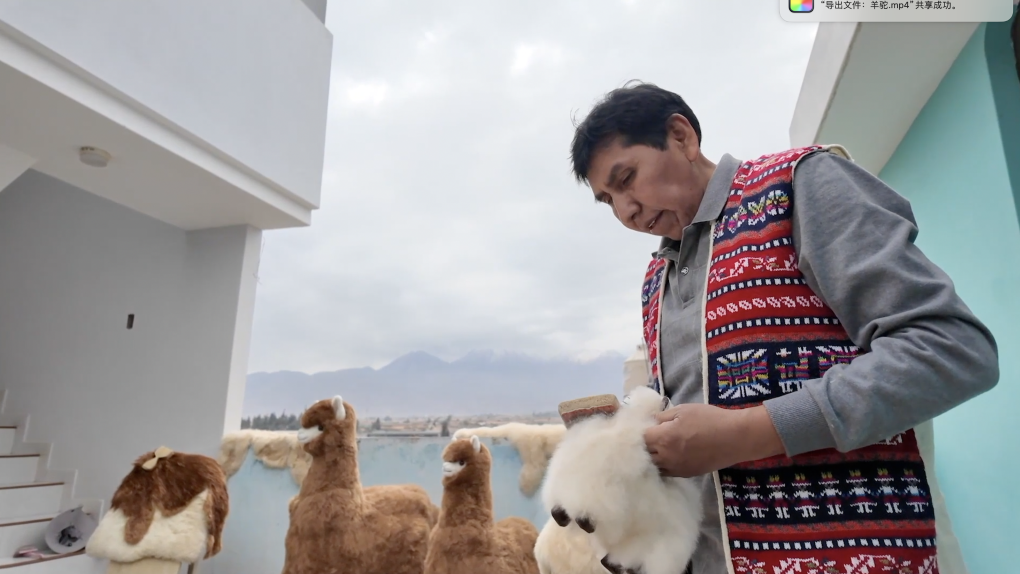 天津肿瘤医院黄牛代挂号电话票贩子号贩子网上预约挂号,住院检查加快,天涯若比邻:秘鲁“羊驼大叔”的进博情缘