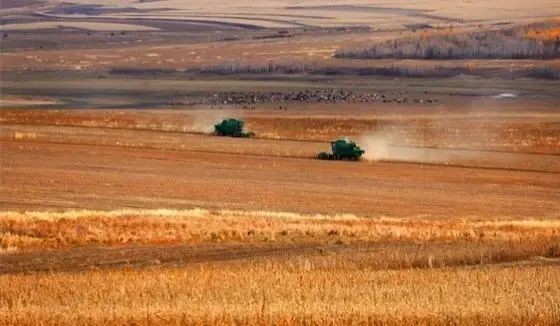 
首都医科大学附属北京胸科医院黄牛代挂号电话票贩子号贩子网上预约挂号,住院检查加快,京蒙共谱共同现代化新篇章