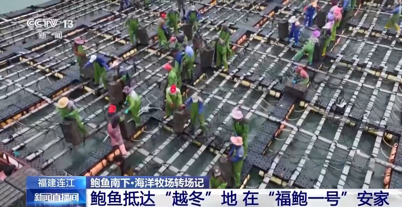 
广州口腔医院黄牛代挂号电话票贩子号贩子网上预约挂号,住院检查加快,鲍鱼也要“走南闯北”越冬避暑？揭秘小鲍鱼的“候鸟式”养殖