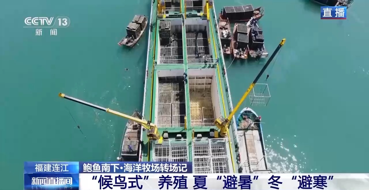 
广州口腔医院黄牛代挂号电话票贩子号贩子网上预约挂号,住院检查加快,鲍鱼也要“走南闯北”越冬避暑？揭秘小鲍鱼的“候鸟式”养殖