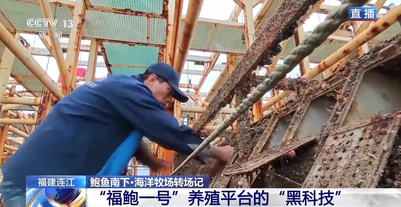 
广州口腔医院黄牛代挂号电话票贩子号贩子网上预约挂号,住院检查加快,鲍鱼也要“走南闯北”越冬避暑？揭秘小鲍鱼的“候鸟式”养殖