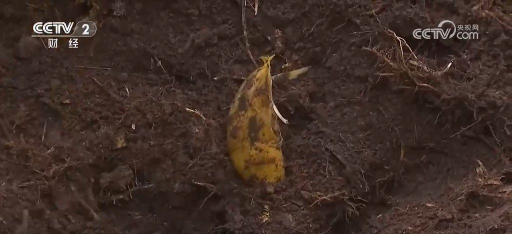 
浙江省人民医院黄牛代挂号电话票贩子号贩子网上预约挂号,住院检查加快,冬来第一鲜、冬捕第一网 “特色养殖+电商”扩宽乡村致富路