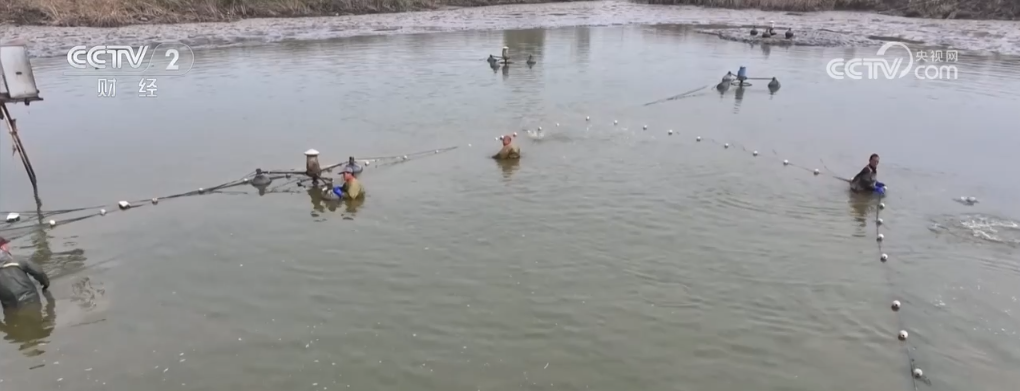 
浙江省人民医院黄牛代挂号电话票贩子号贩子网上预约挂号,住院检查加快,冬来第一鲜、冬捕第一网 “特色养殖+电商”扩宽乡村致富路