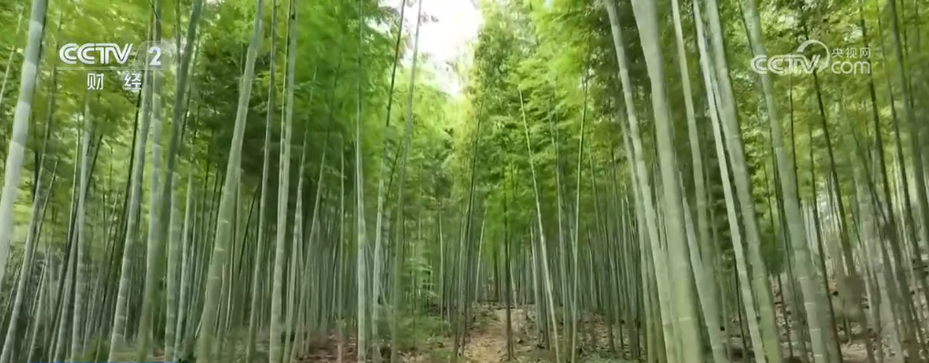 
浙江省人民医院黄牛代挂号电话票贩子号贩子网上预约挂号,住院检查加快,冬来第一鲜、冬捕第一网 “特色养殖+电商”扩宽乡村致富路