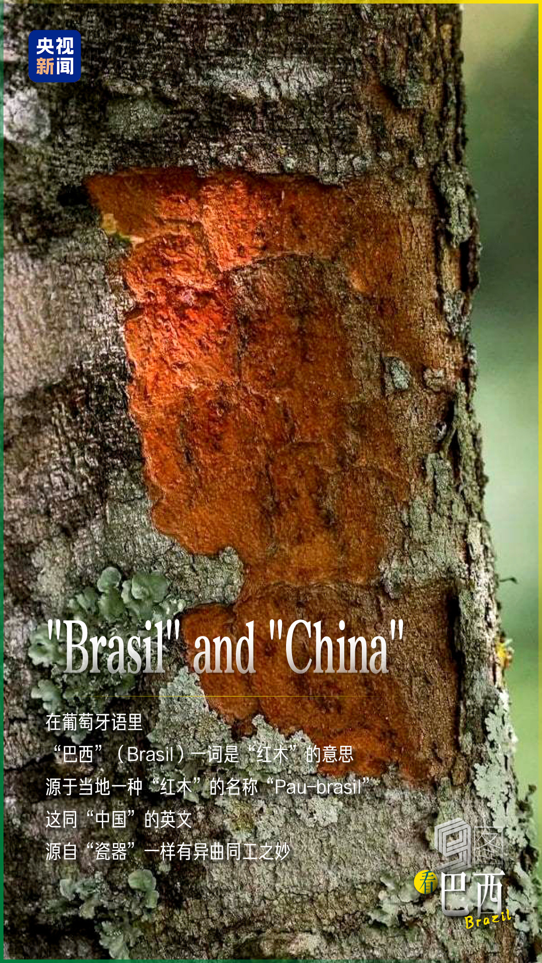 
北京大学第三医院黄牛代挂号电话票贩子号贩子网上预约挂号,住院检查加快,跟着习主席看世界 | 9图看巴西