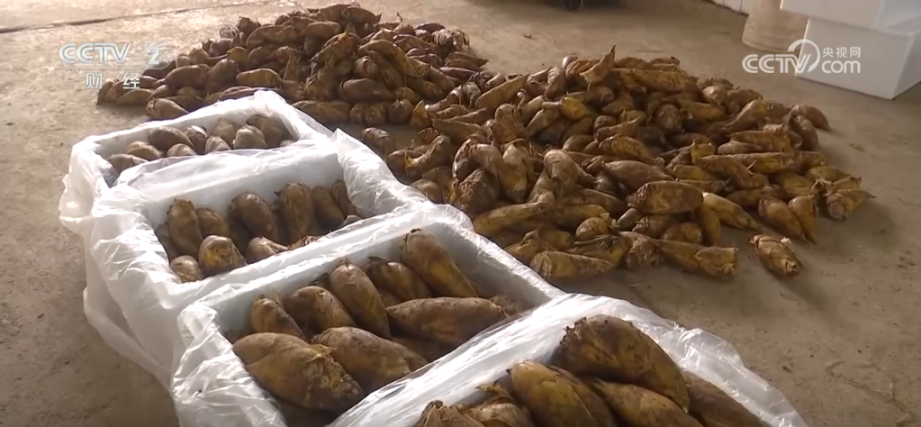 
浙江省人民医院黄牛代挂号电话票贩子号贩子网上预约挂号,住院检查加快,冬来第一鲜、冬捕第一网 “特色养殖+电商”扩宽乡村致富路