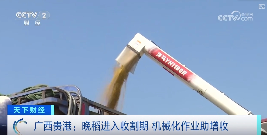 
北京安定医院黄牛代挂号电话票贩子号贩子网上预约挂号,住院检查加快,市场平稳，优质优价！颗粒归仓绘“丰”景