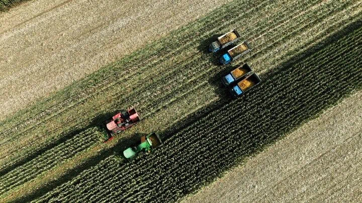 
首都医科大学附属安贞医院黄牛代挂号电话票贩子号贩子网上预约挂号,住院检查加快,新华全媒+丨耕作模式翻新升级筑牢“辽北粮仓”