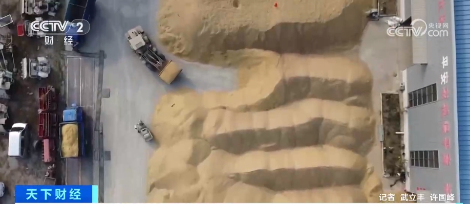 
北京安定医院黄牛代挂号电话票贩子号贩子网上预约挂号,住院检查加快,市场平稳，优质优价！颗粒归仓绘“丰”景