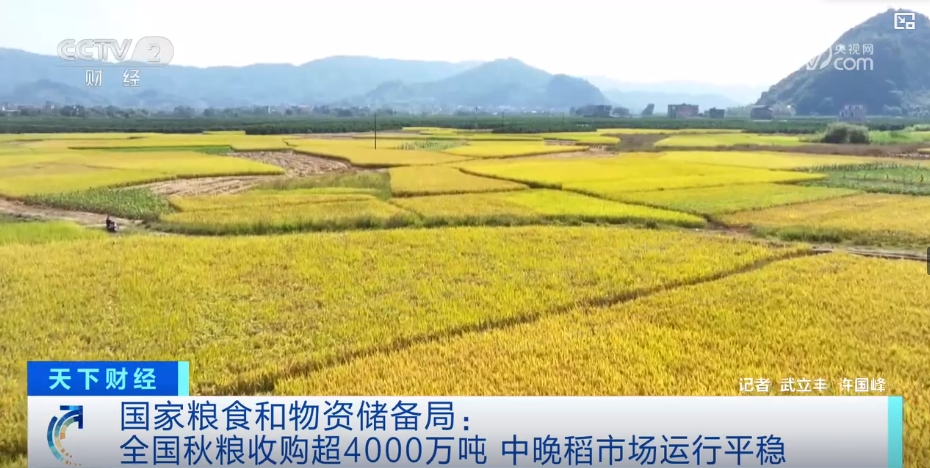 
北京安定医院黄牛代挂号电话票贩子号贩子网上预约挂号,住院检查加快,市场平稳，优质优价！颗粒归仓绘“丰”景