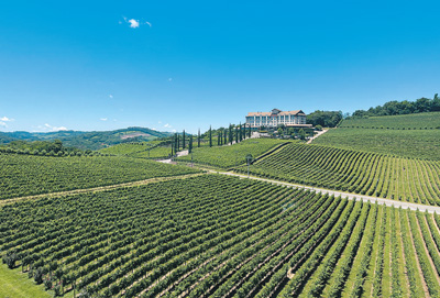 
杭州各大医院黄牛代挂号电话票贩子号贩子网上预约挂号,住院检查加快,“希望巴西葡萄酒得到更多中国消费者青睐”