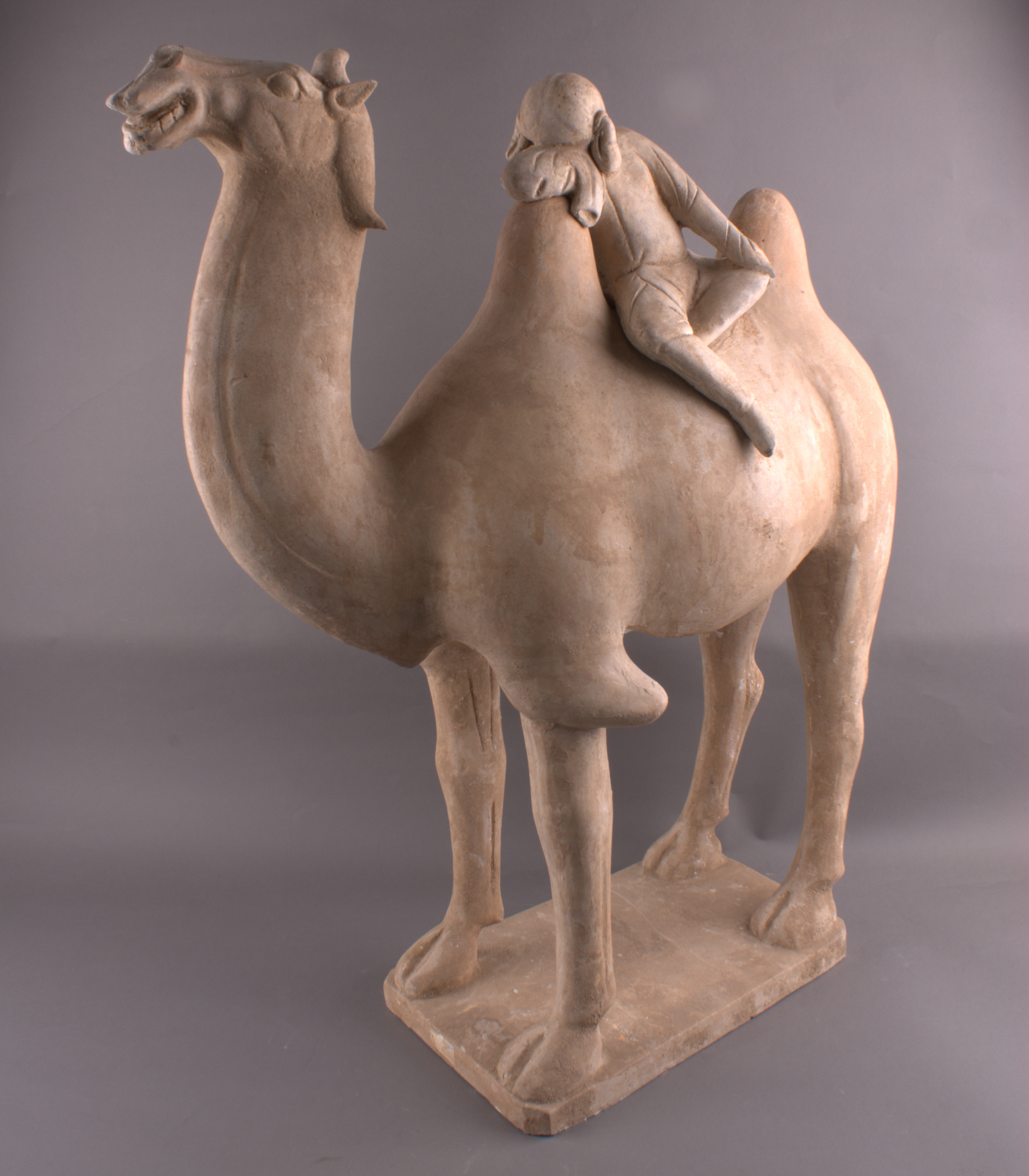 
天津血液研究所黄牛代挂号电话票贩子号贩子网上预约挂号,住院检查加快,文化中国行·文博日历丨驼背上搞乐队，这就是唐“潮”