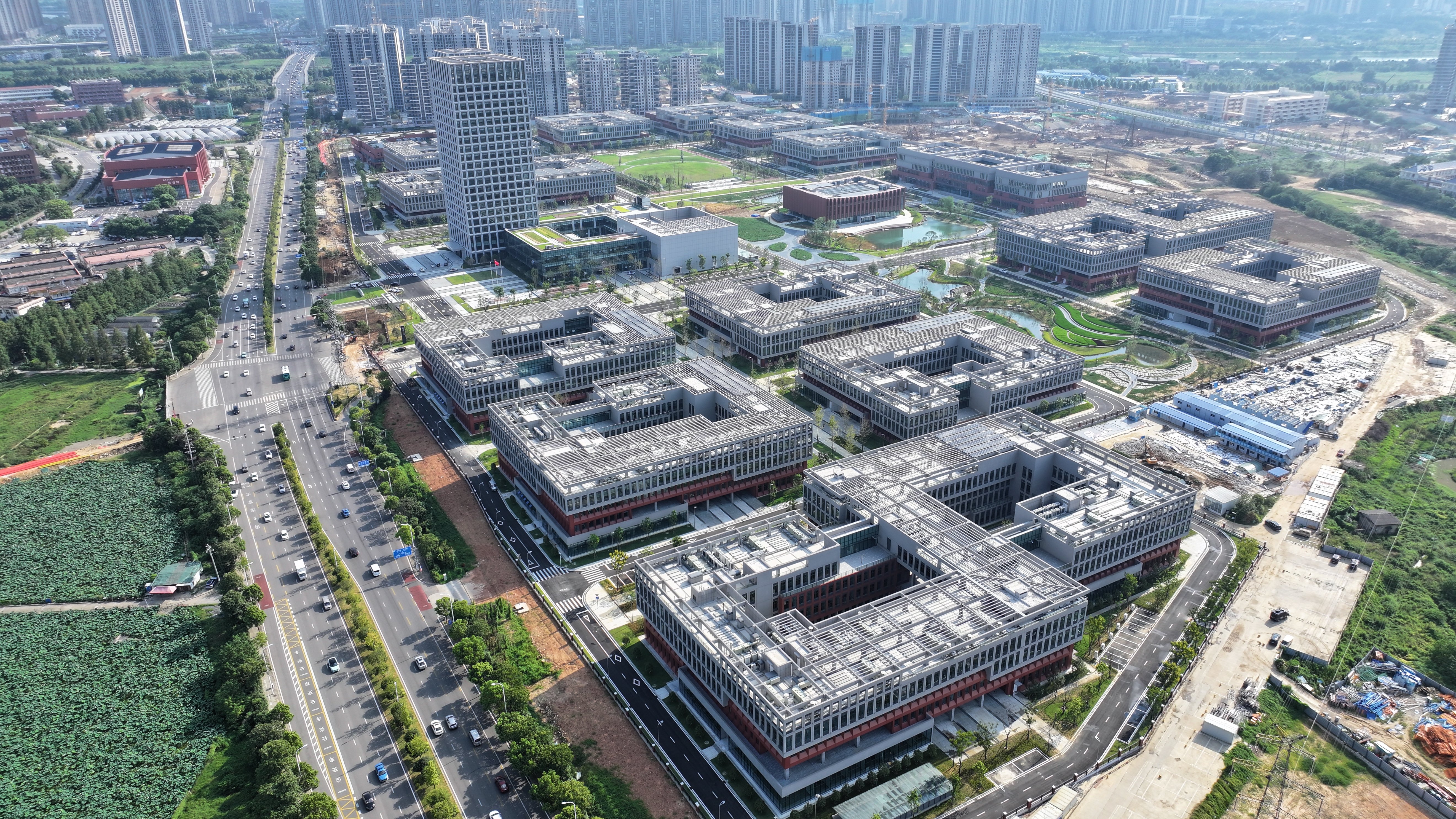 
浙江第一医院黄牛代挂号电话票贩子号贩子网上预约挂号,住院检查加快,高质量发展调研行 | 种业向新：农业“芯片”如何炼成？