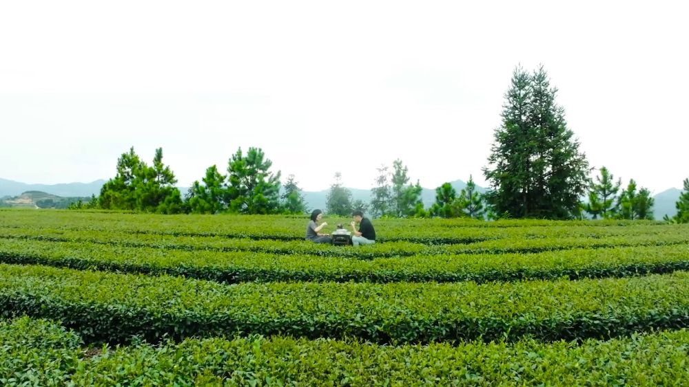 
江苏省中医院黄牛代挂号电话票贩子号贩子网上预约挂号,住院检查加快,新华视点｜以“叶”执笔 绘就县域小城“富春山居图”