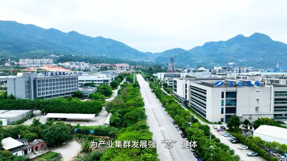 
江苏省中医院黄牛代挂号电话票贩子号贩子网上预约挂号,住院检查加快,新华视点｜以“叶”执笔 绘就县域小城“富春山居图”