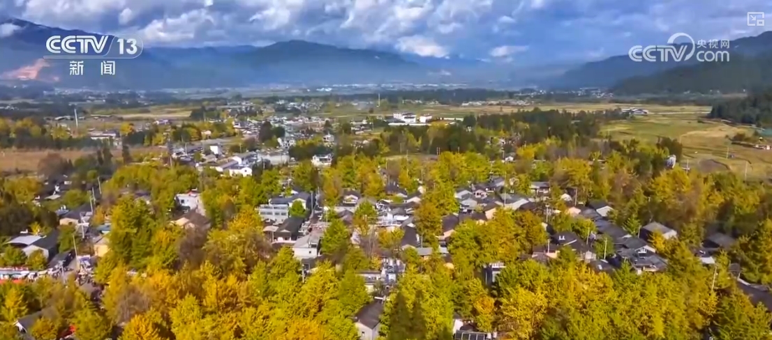 
南京脑科医院黄牛代挂号电话票贩子号贩子网上预约挂号,住院检查加快,“秋冬限定色”“驯鹿游”引客来 特色文旅释放消费“新”热潮