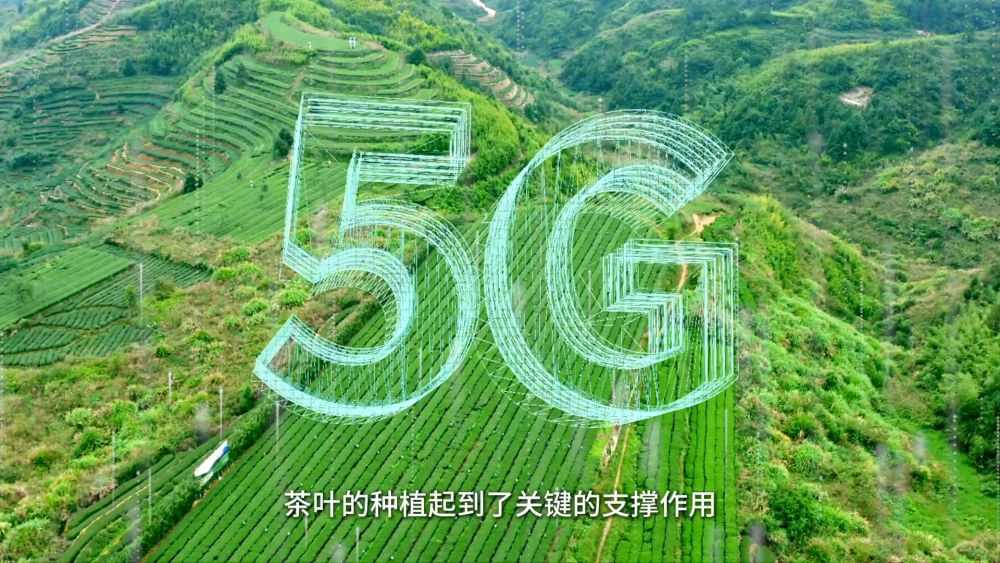 
江苏省中医院黄牛代挂号电话票贩子号贩子网上预约挂号,住院检查加快,新华视点｜以“叶”执笔 绘就县域小城“富春山居图”