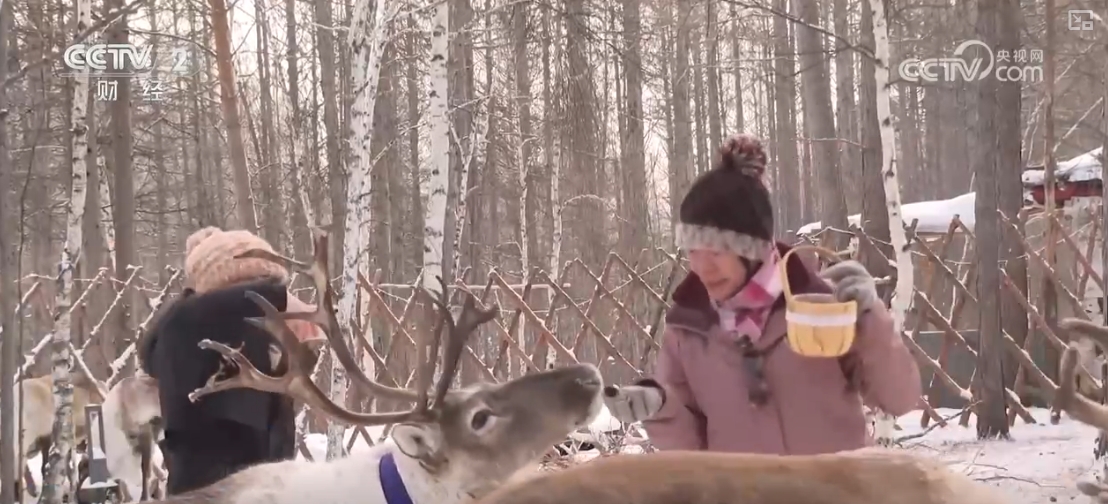 
南京脑科医院黄牛代挂号电话票贩子号贩子网上预约挂号,住院检查加快,“秋冬限定色”“驯鹿游”引客来 特色文旅释放消费“新”热潮