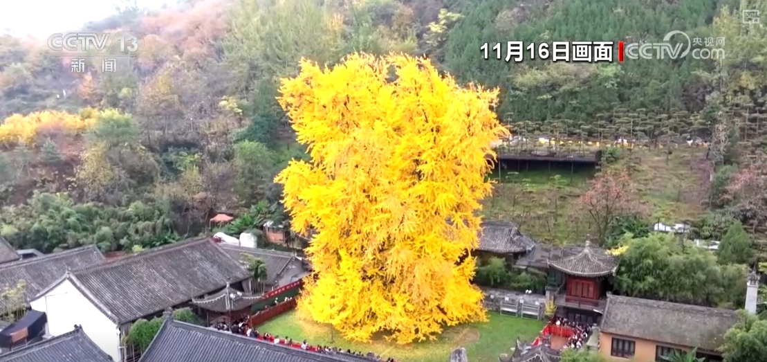 
南京脑科医院黄牛代挂号电话票贩子号贩子网上预约挂号,住院检查加快,“秋冬限定色”“驯鹿游”引客来 特色文旅释放消费“新”热潮