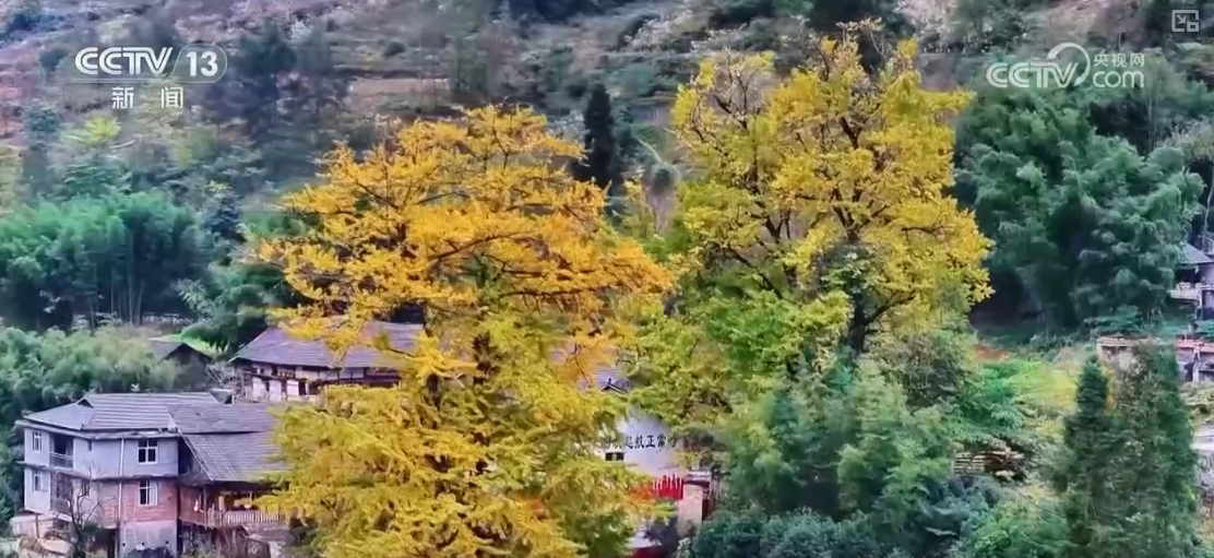 
南京脑科医院黄牛代挂号电话票贩子号贩子网上预约挂号,住院检查加快,“秋冬限定色”“驯鹿游”引客来 特色文旅释放消费“新”热潮