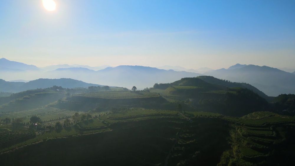 
江苏省中医院黄牛代挂号电话票贩子号贩子网上预约挂号,住院检查加快,新华视点｜以“叶”执笔 绘就县域小城“富春山居图”